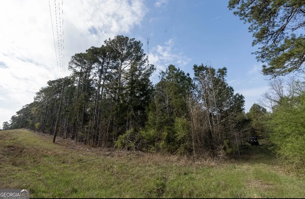1929 Sharon RD Crawfordville, GA 30631