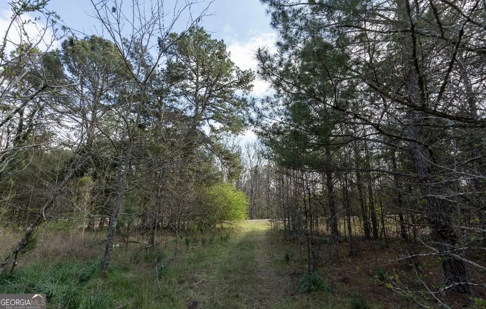 1929 Sharon RD Crawfordville, GA 30631