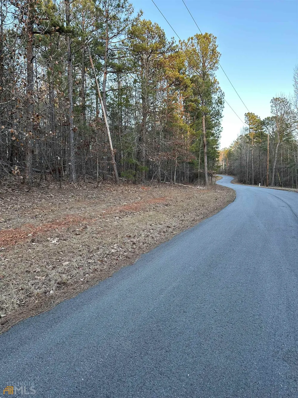 LOT 1 & LOT 15 Mountain Ridge DR Waverly Hall, GA 31831