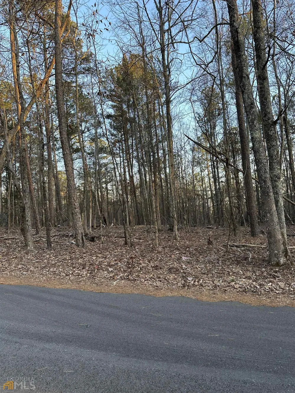 LOT 1 & LOT 15 Mountain Ridge DR Waverly Hall, GA 31831