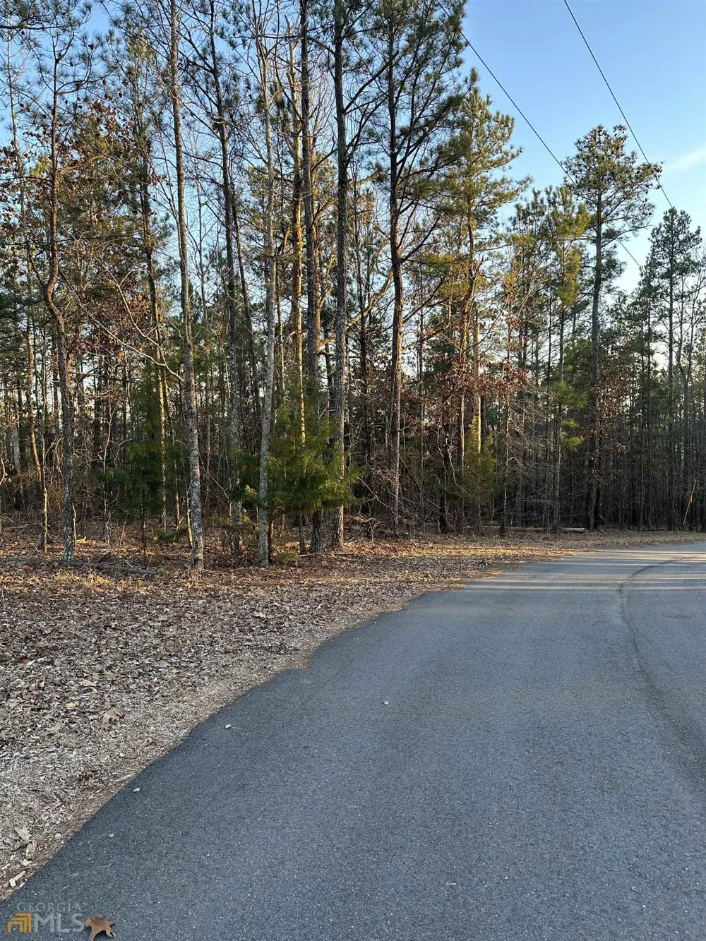 LOT 1 & LOT 15 Mountain Ridge DR Waverly Hall, GA 31831