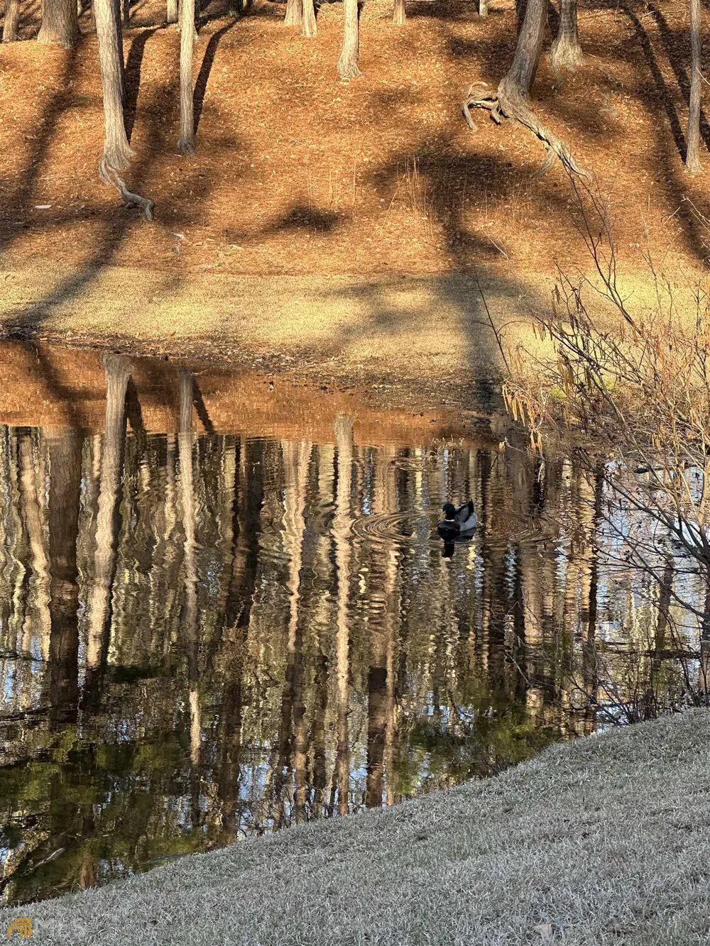 LOT 1 & LOT 15 Mountain Ridge DR Waverly Hall, GA 31831