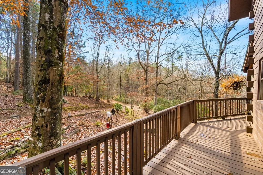 488 Smith RD Brasstown, NC 28902