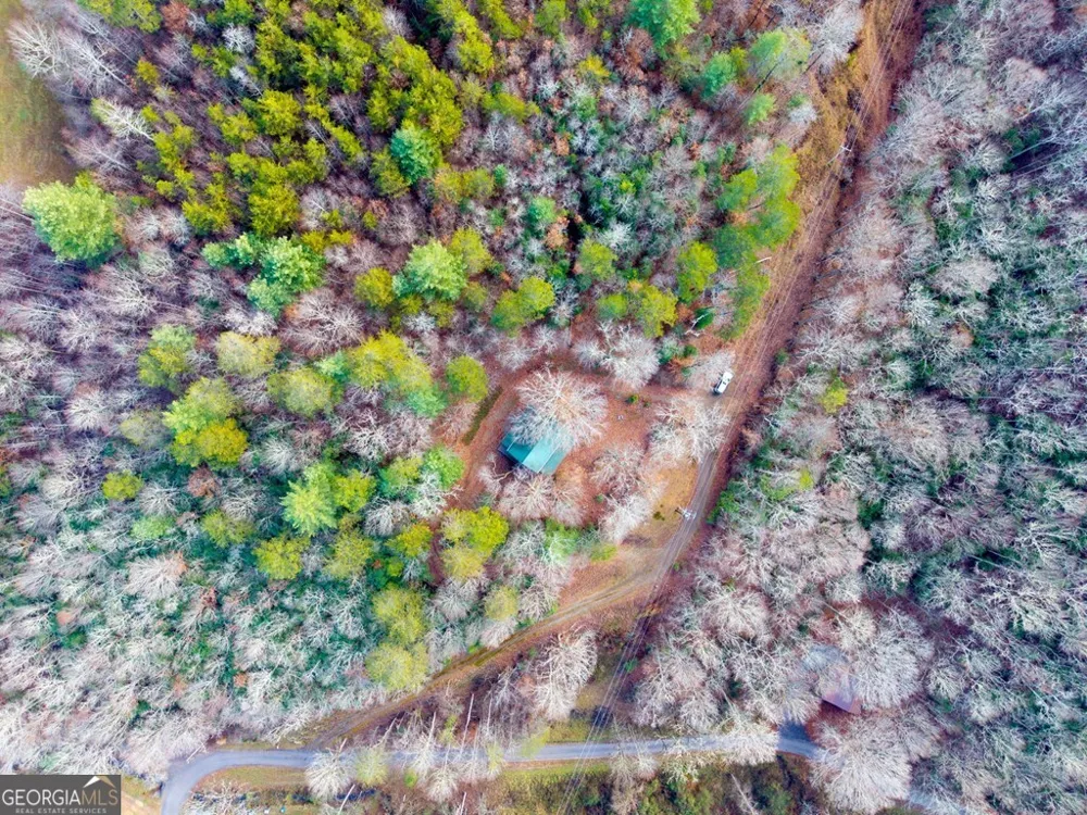 488 Smith RD Brasstown, NC 28902