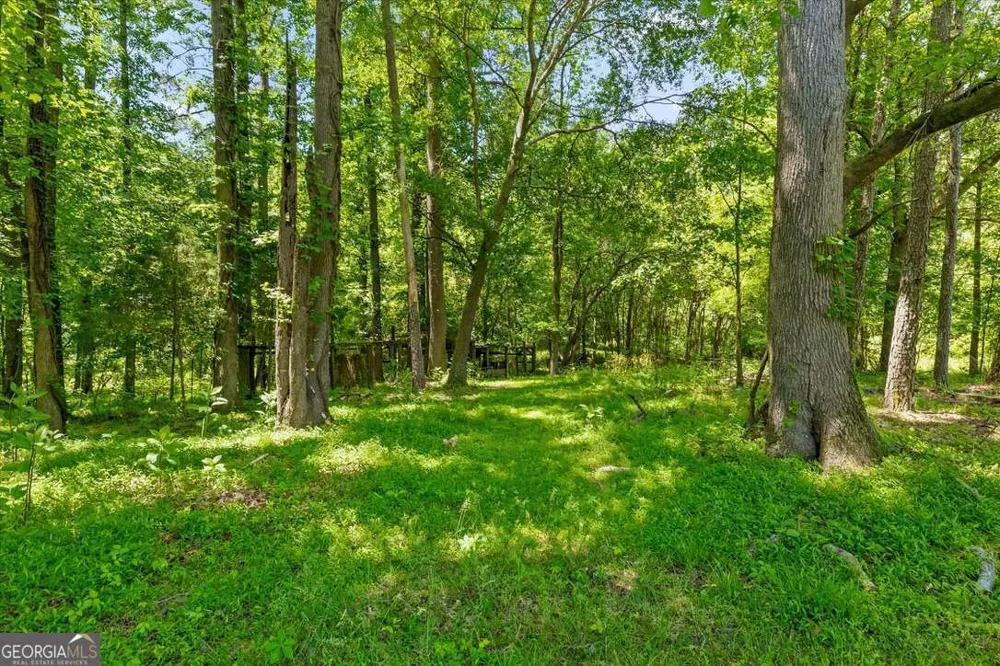 446 Brown Bridge RD Chatsworth, GA 30705