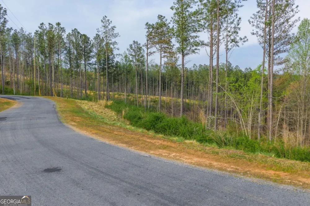 LOT 226 West Vista Ridge PKWY Talking Rock, GA 30175