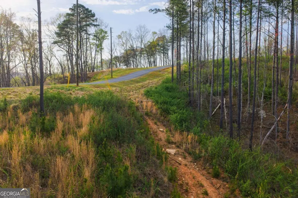 LOT 226 West Vista Ridge PKWY Talking Rock, GA 30175