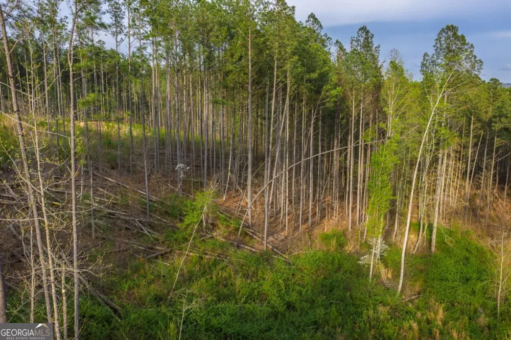 LOT 226 West Vista Ridge PKWY Talking Rock, GA 30175