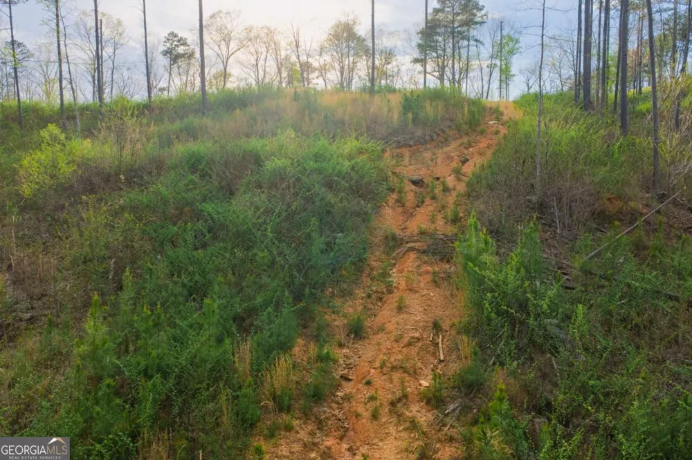 LOT 226 West Vista Ridge PKWY Talking Rock, GA 30175