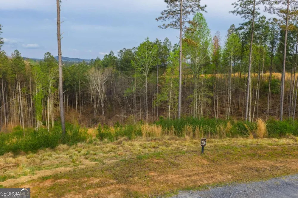 LOT 226 West Vista Ridge PKWY Talking Rock, GA 30175