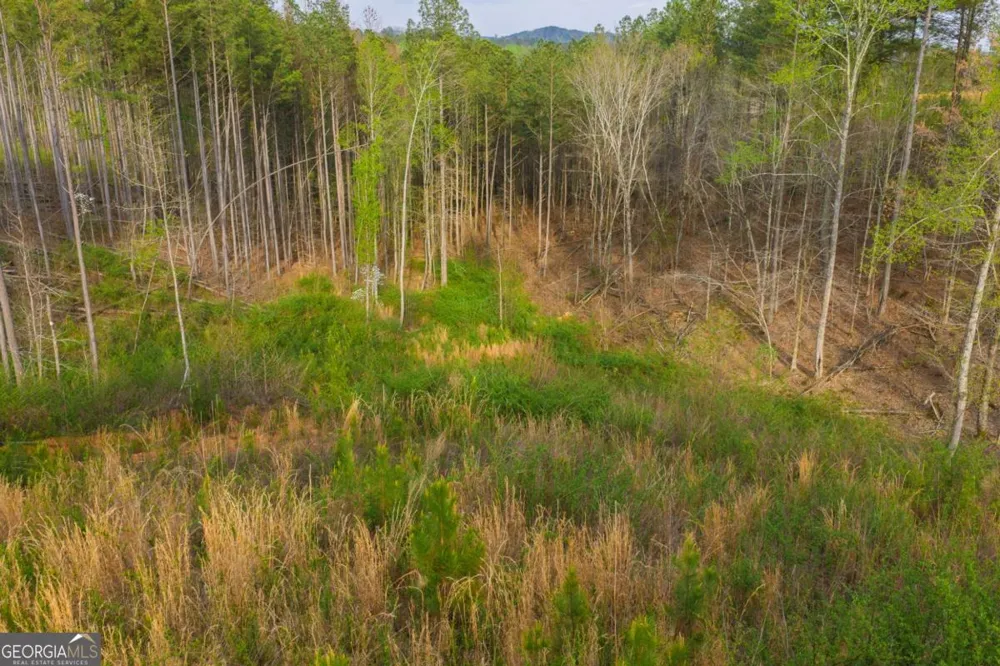 LOT 226 West Vista Ridge PKWY Talking Rock, GA 30175