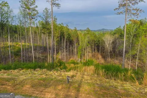 LOT 226 West Vista Ridge PKWY