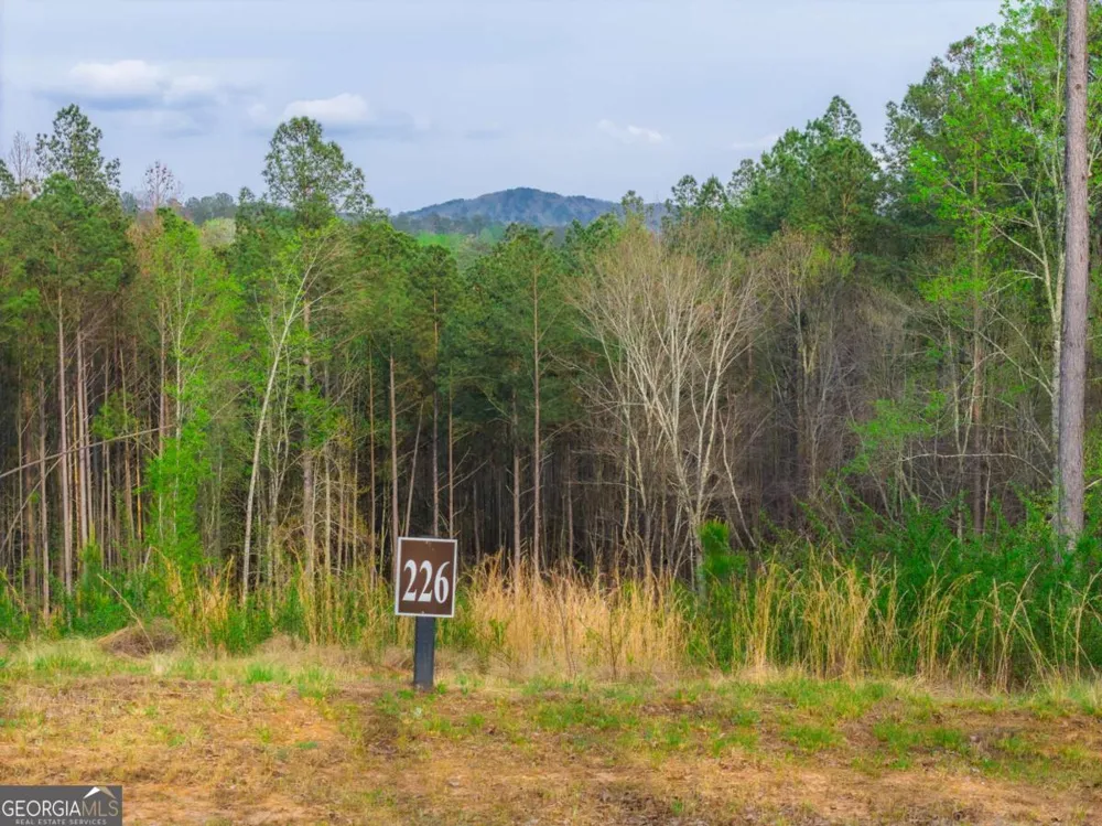 LOT 226 West Vista Ridge PKWY Talking Rock, GA 30175