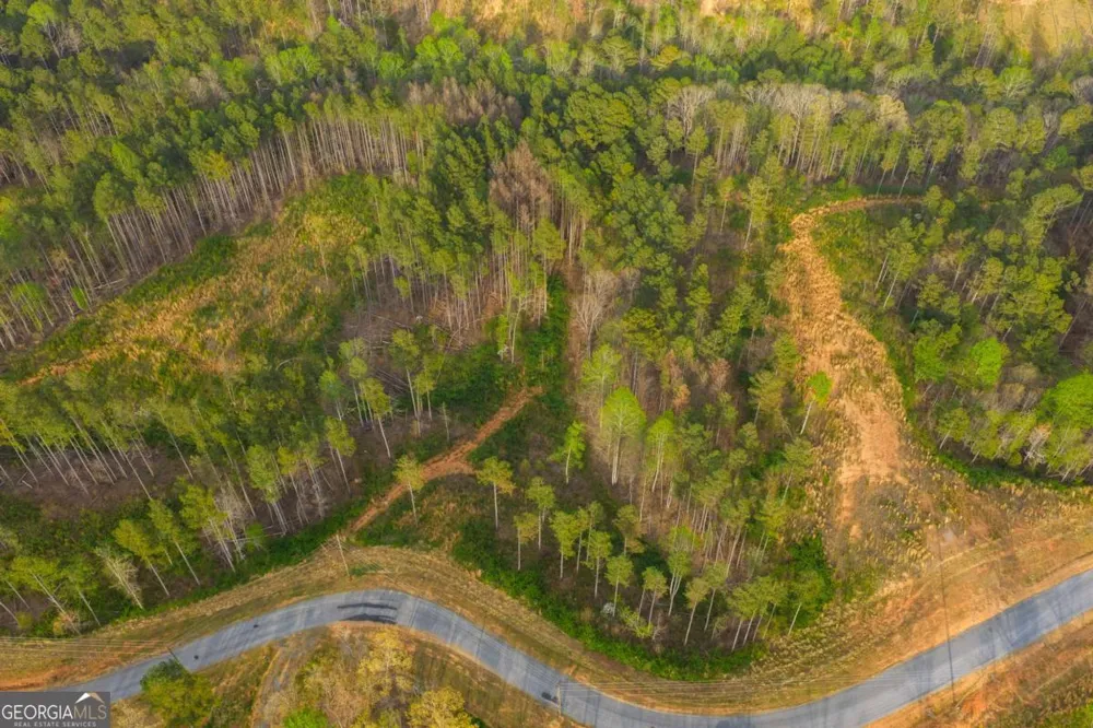 LOT 226 West Vista Ridge PKWY Talking Rock, GA 30175
