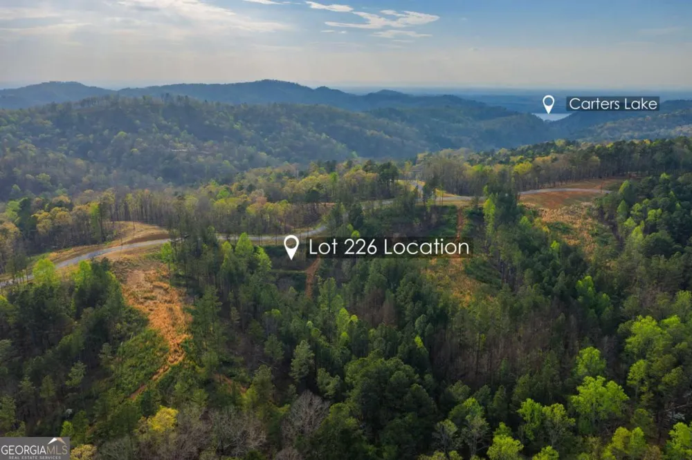 LOT 226 West Vista Ridge PKWY Talking Rock, GA 30175