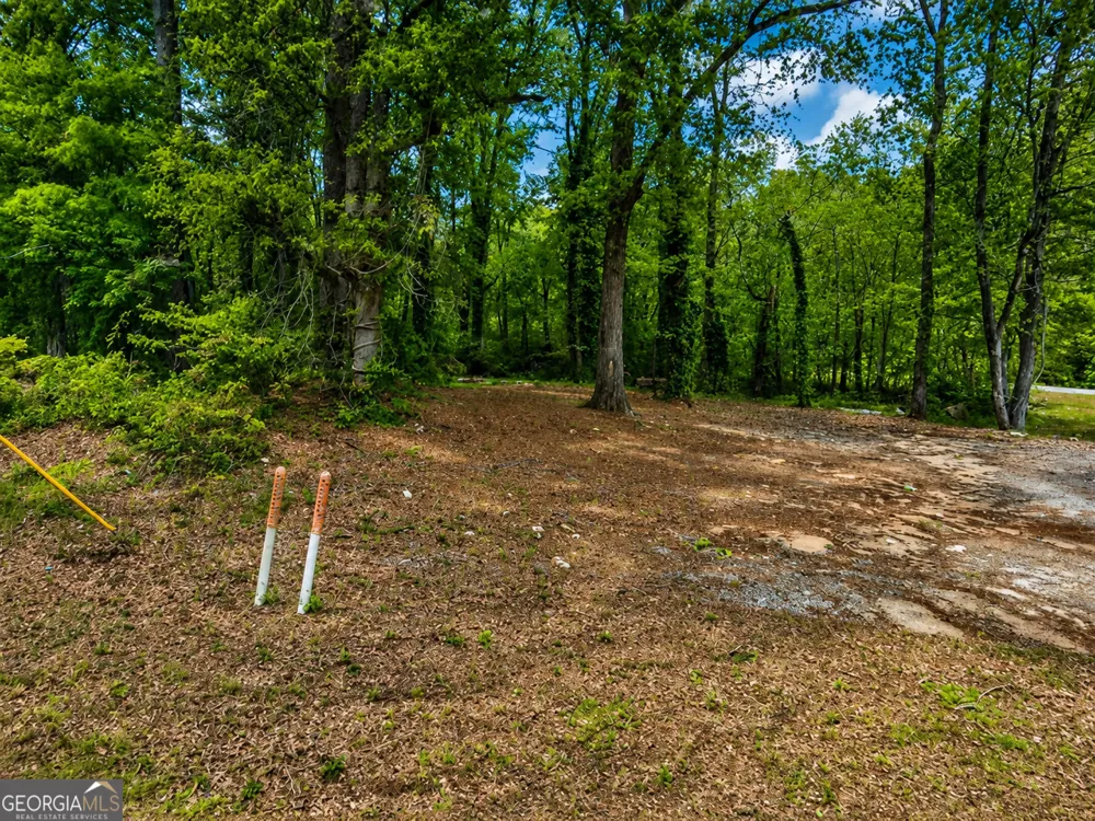 .36 ACRES Elm ST Hampton, GA 30228