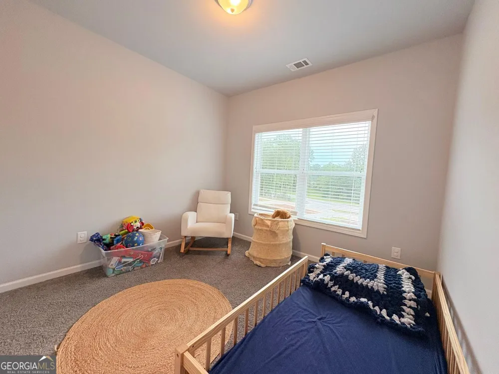 3029 Highway 17 Clarkesville, GA 30523