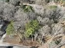 4940 Westridge LN Powder Springs, GA 30127
