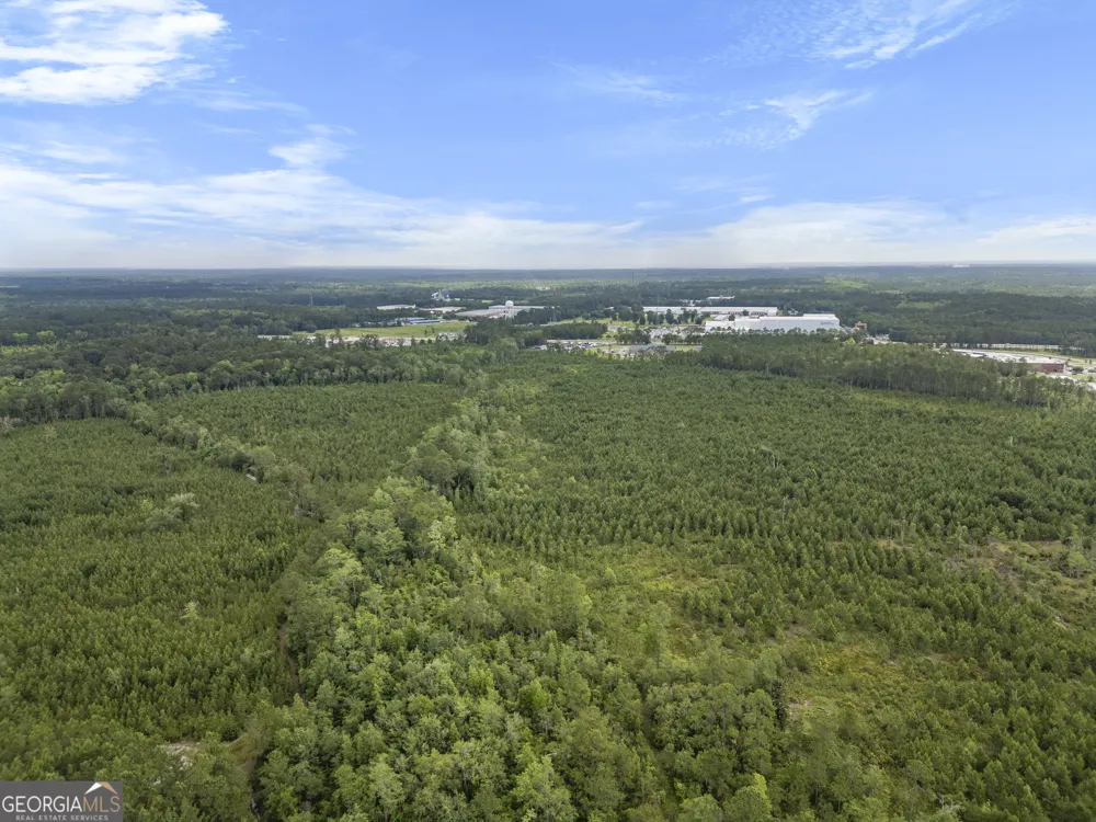 0 Rahn Station RD Rincon, GA 31326