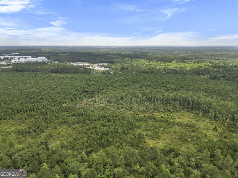 0 Rahn Station RD Rincon, GA 31326