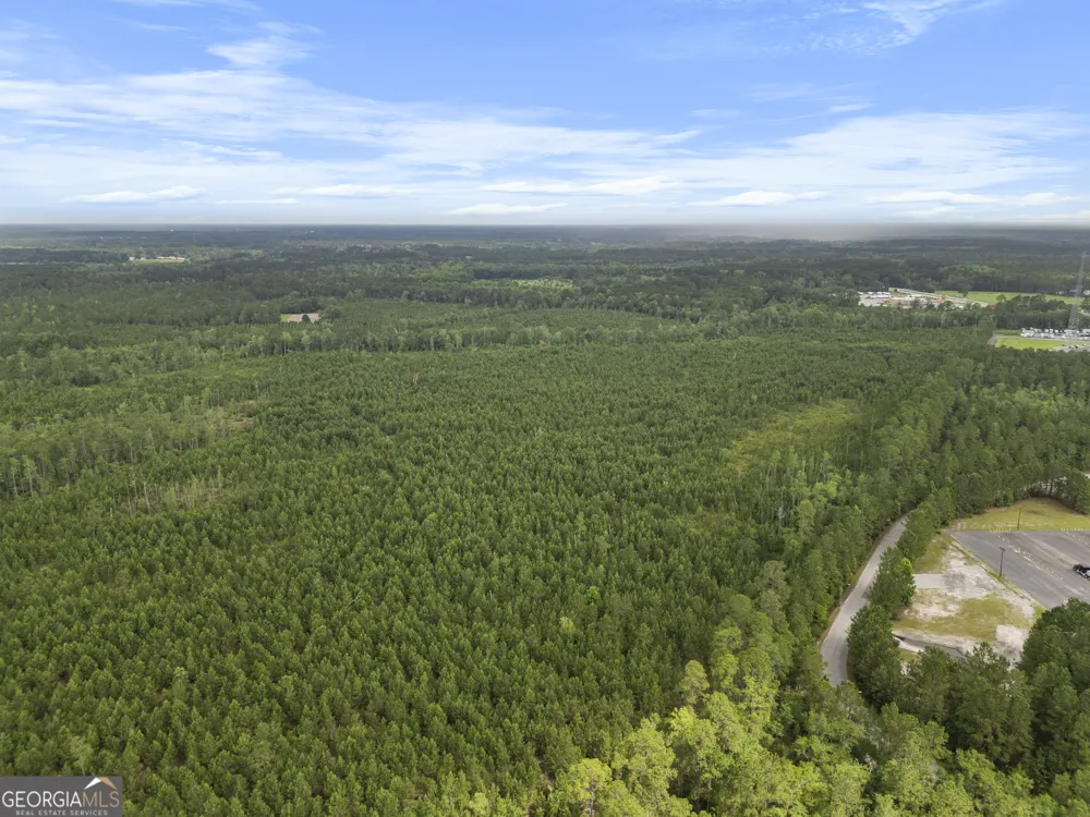 0 Rahn Station RD Rincon, GA 31326