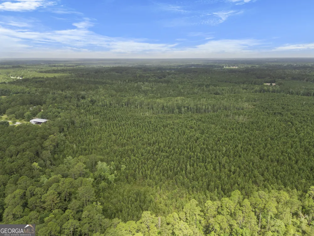 0 Rahn Station RD Rincon, GA 31326