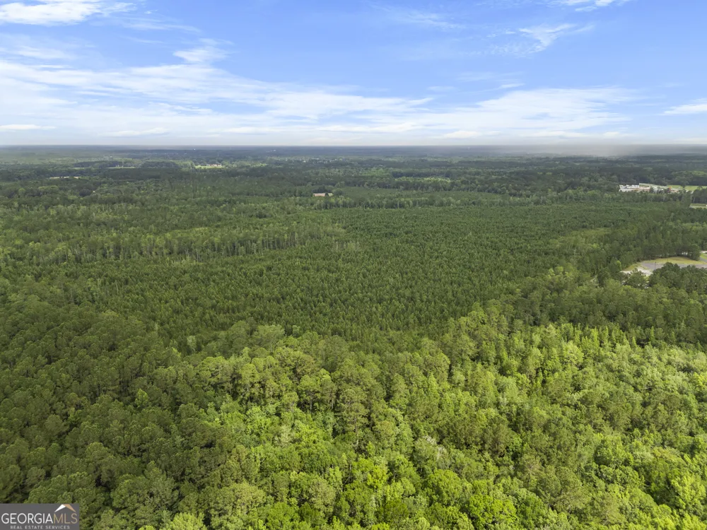 0 Rahn Station RD Rincon, GA 31326