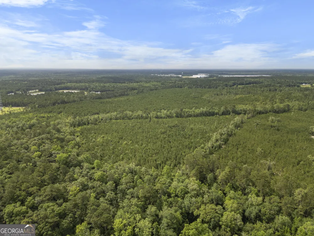 0 Rahn Station RD Rincon, GA 31326