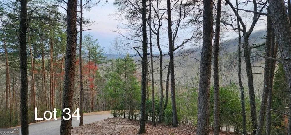 34 Wilderness Creek WAY Murphy, NC 28906