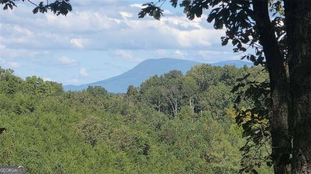 611 Pack RD NE Ranger, GA 30734