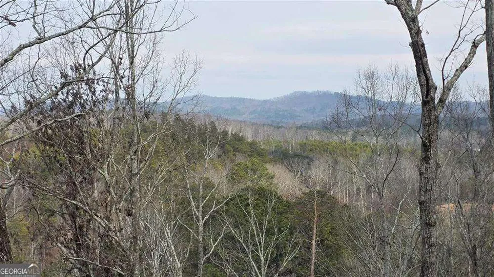 611 Pack RD NE Ranger, GA 30734