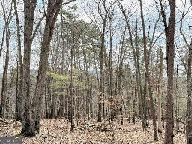 611 Pack RD NE Ranger, GA 30734