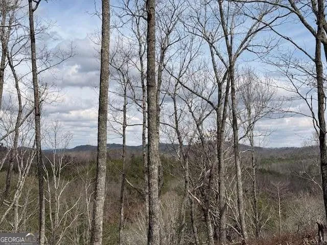 611 Pack RD NE Ranger, GA 30734