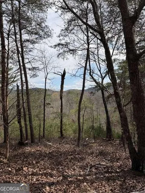 611 Pack RD NE Ranger, GA 30734