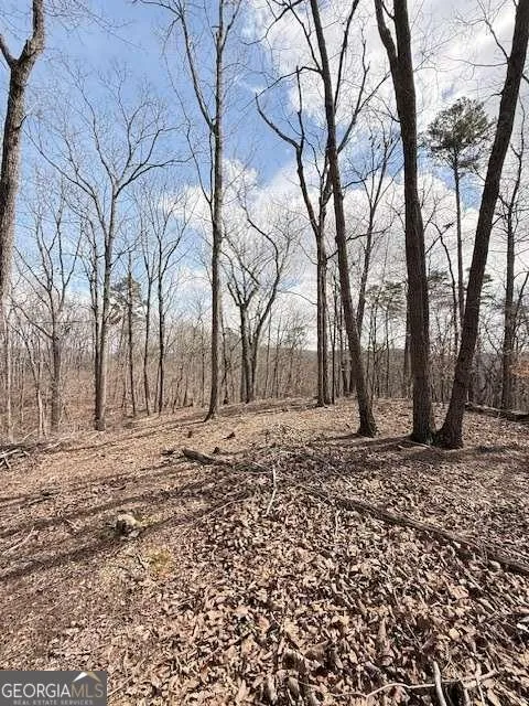 611 Pack RD NE Ranger, GA 30734