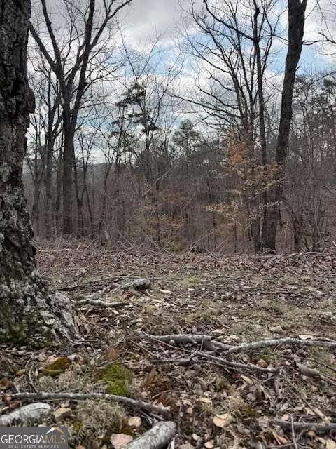 611 Pack RD NE Ranger, GA 30734
