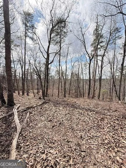 611 Pack RD NE Ranger, GA 30734