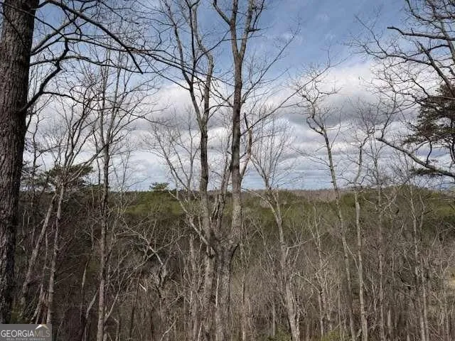 611 Pack RD NE Ranger, GA 30734