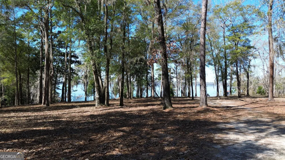 96 Cotton Cove Drum Georgetown, GA 39854