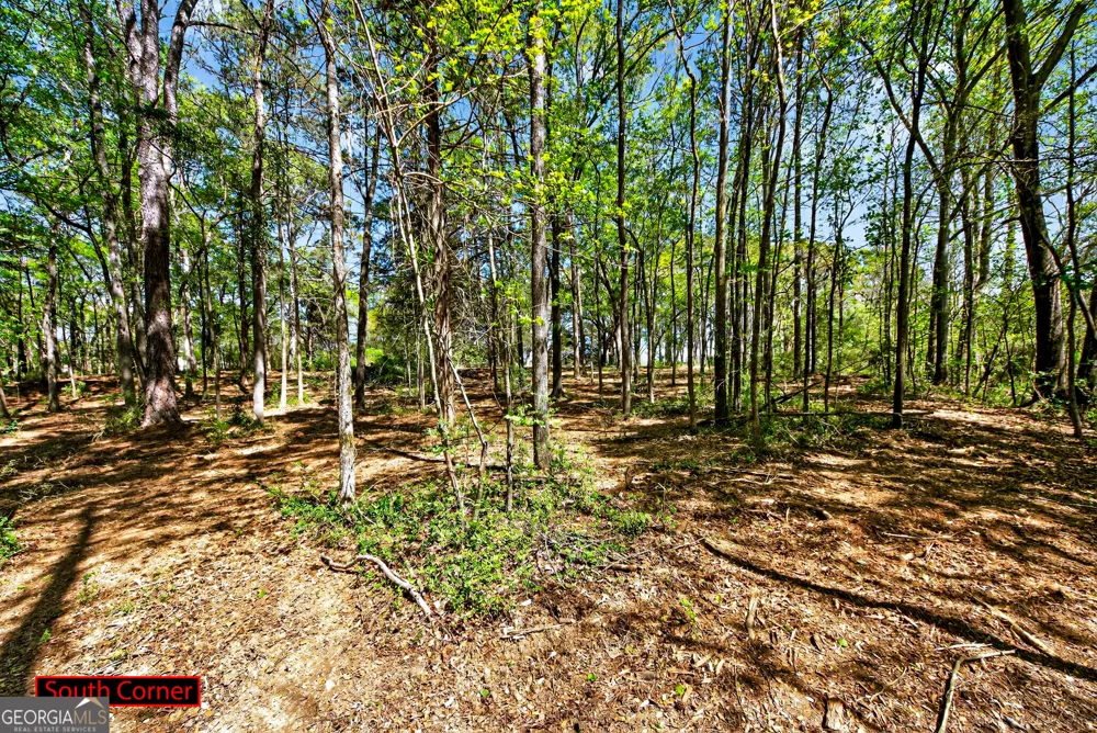2330 Greensboro HWY Watkinsville, GA 30677