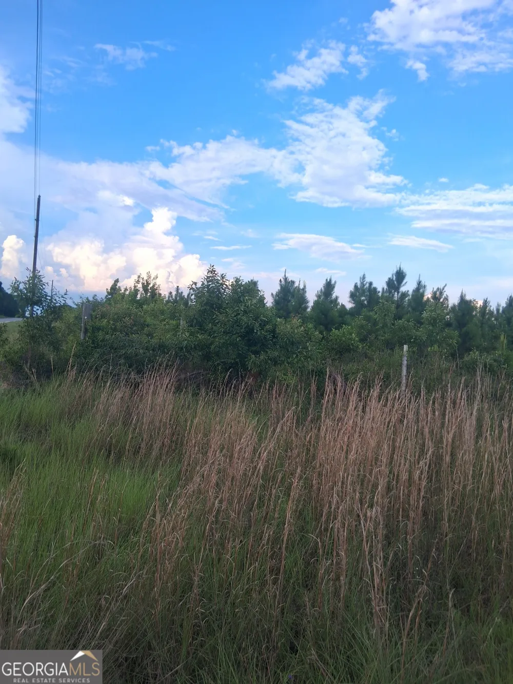 0 Abbeville HWY Eastman, GA 31023