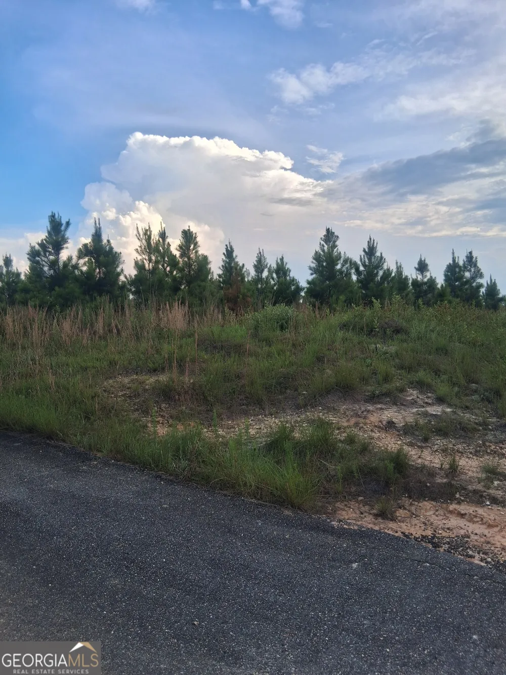0 Abbeville HWY Eastman, GA 31023