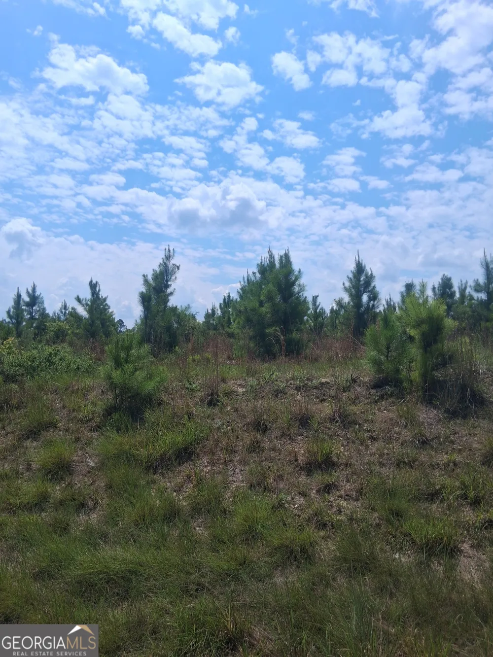 0 Abbeville HWY Eastman, GA 31023