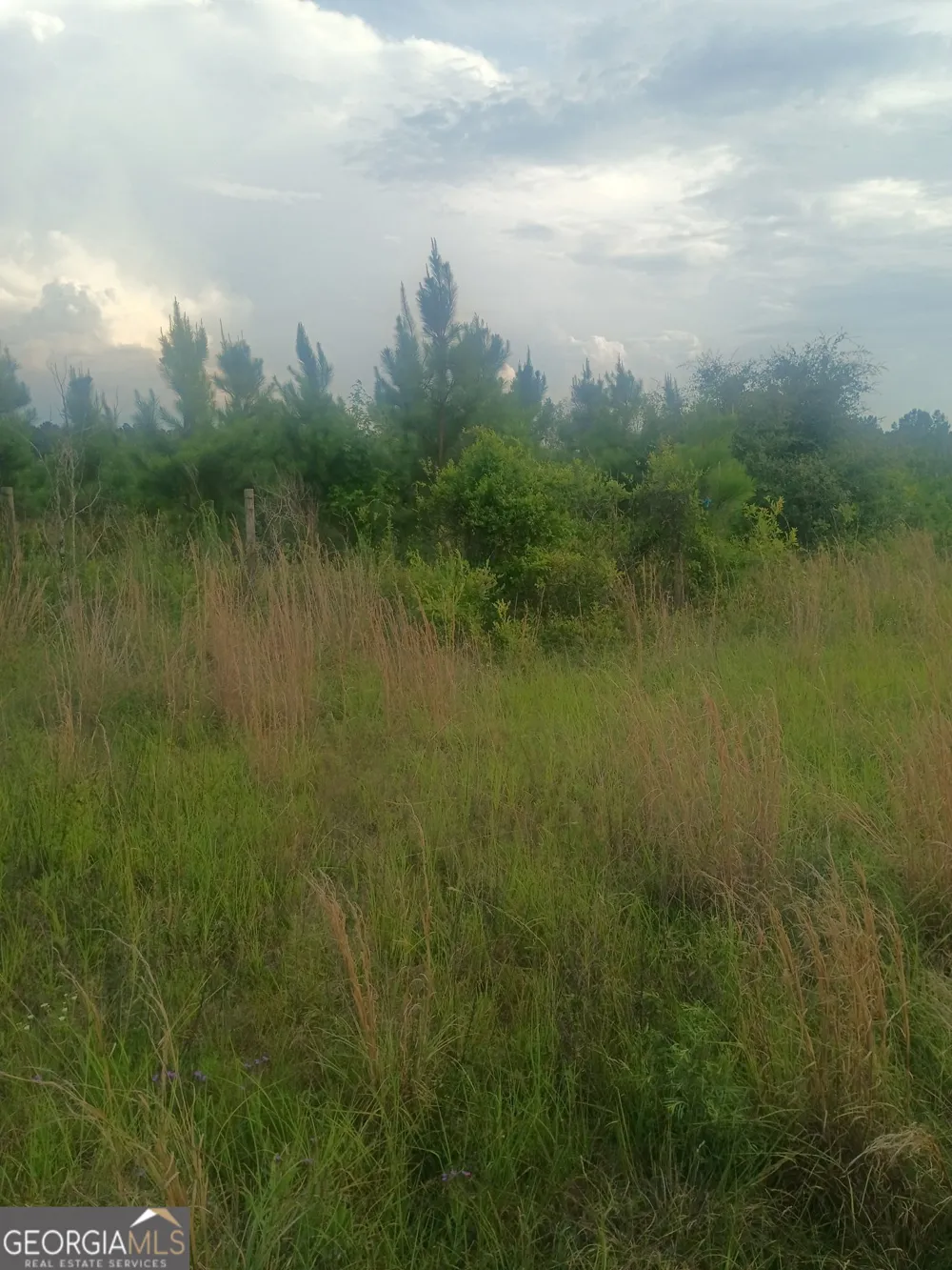 0 Abbeville HWY Eastman, GA 31023