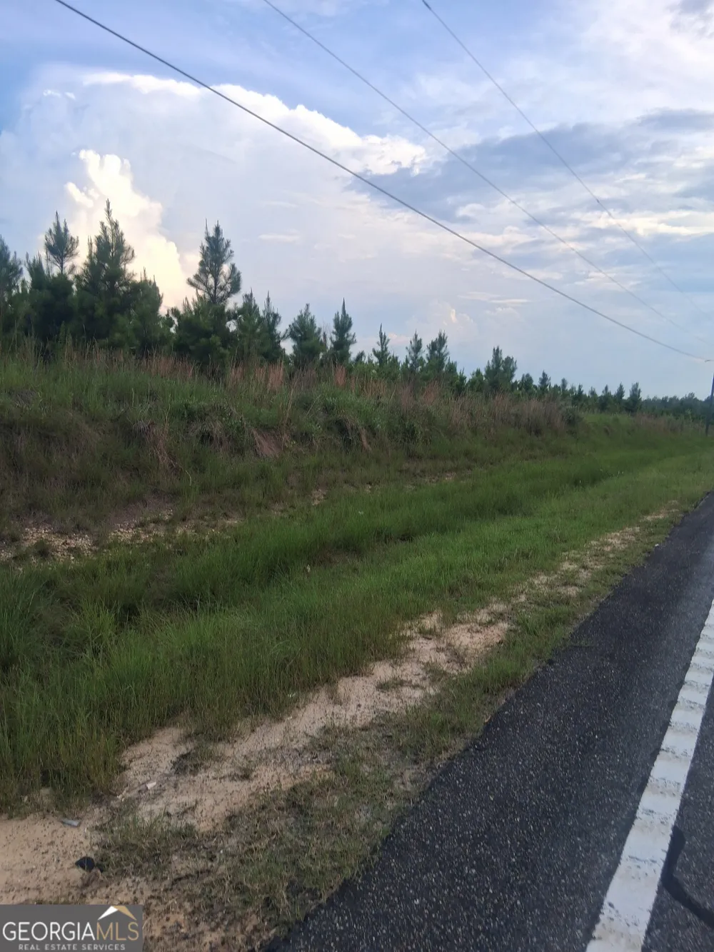 0 Abbeville HWY Eastman, GA 31023