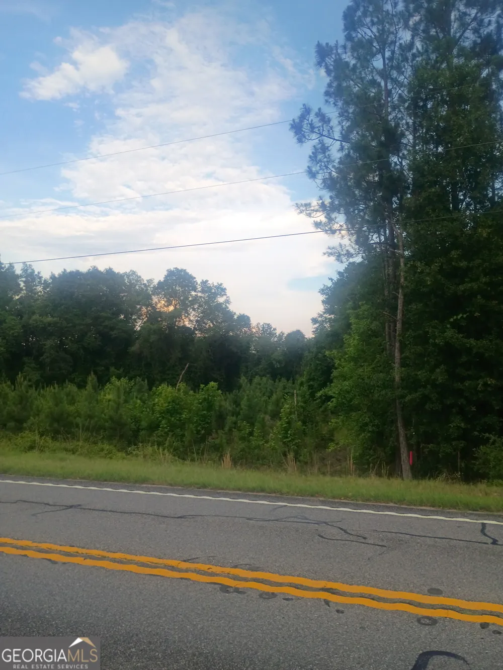 0 Abbeville HWY Eastman, GA 31023
