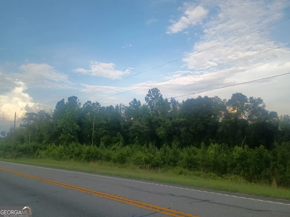 0 Abbeville HWY Eastman, GA 31023