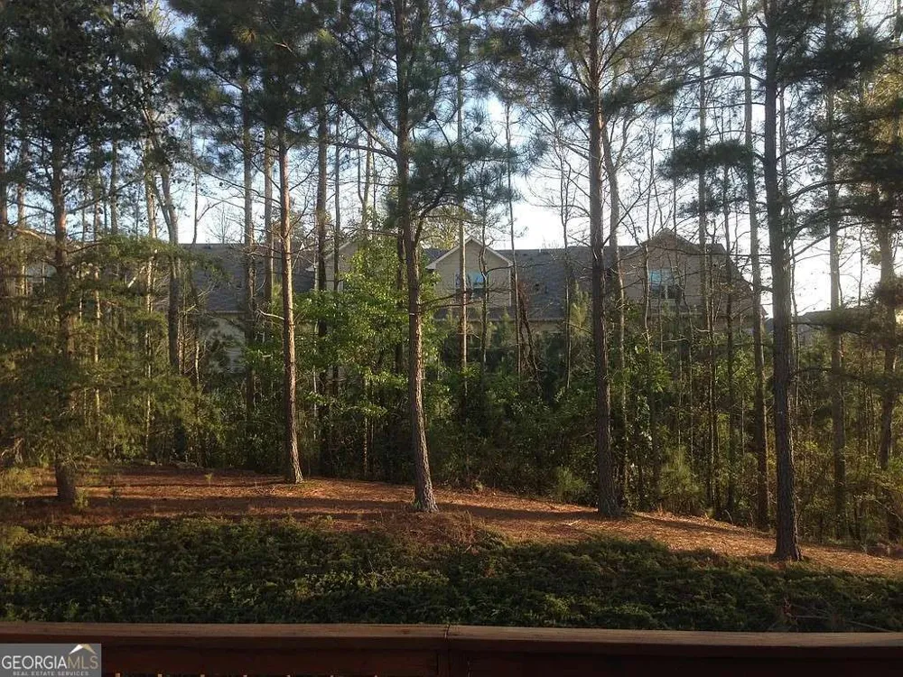 3423 Lathenview CT Alpharetta, GA 30004