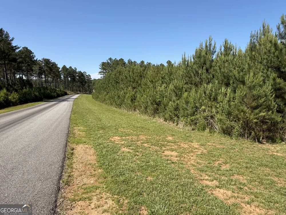 LOT 228 The Cove at Thirteen Hundred Blairsville, GA 30512