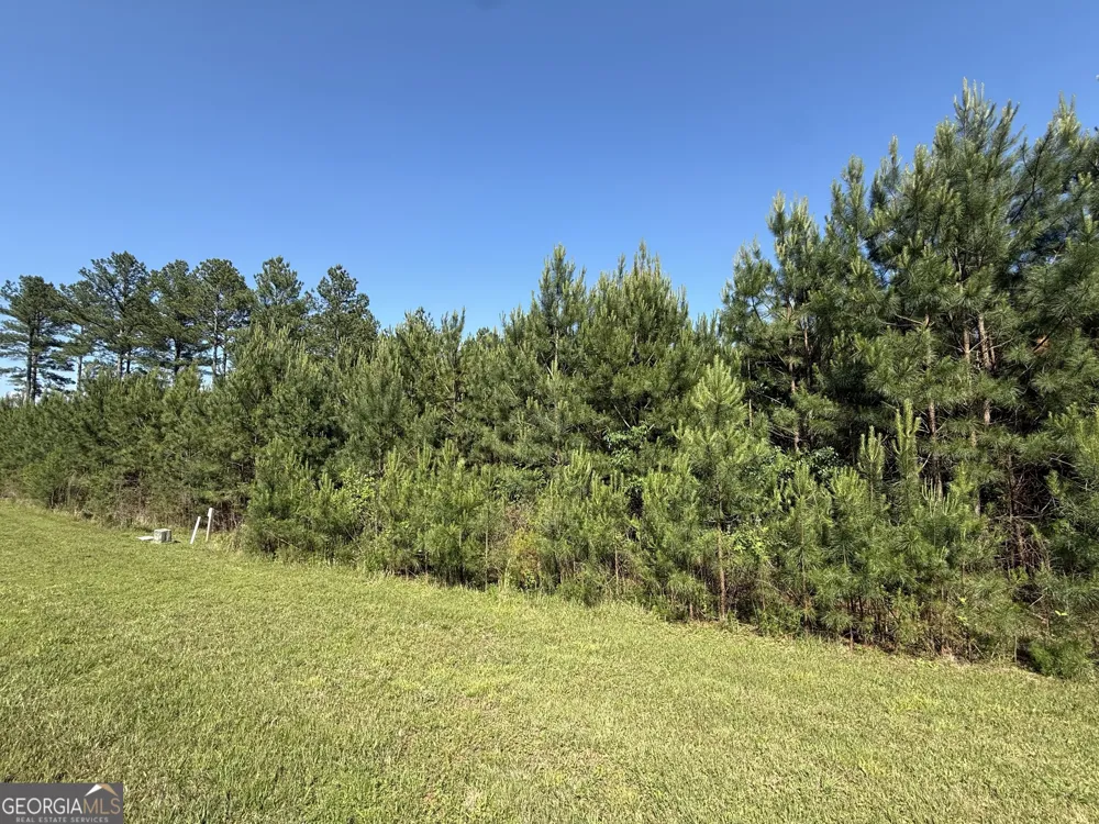 LOT 228 The Cove at Thirteen Hundred Blairsville, GA 30512